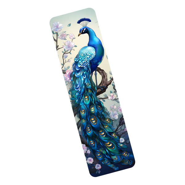Peacock Feathers - Transparent