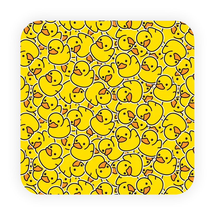 Ducks - coaster