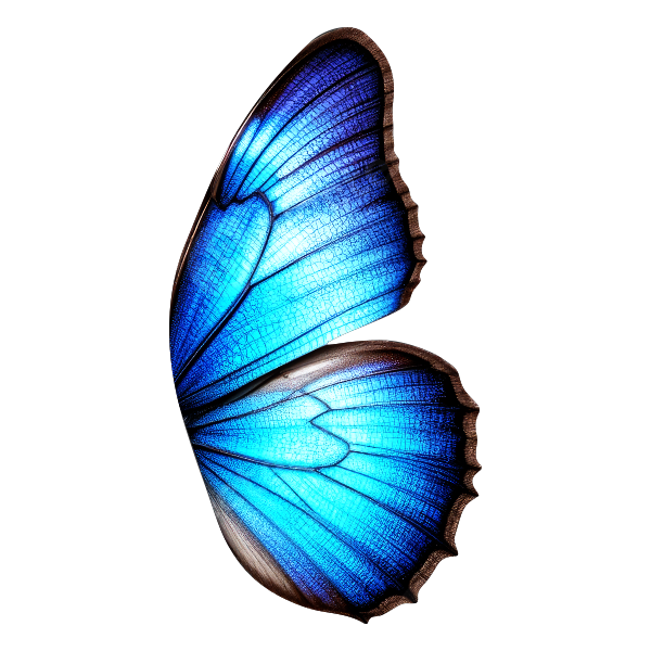 Blue Wings - Transparent