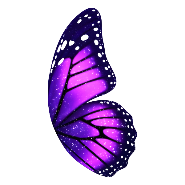 Purple Wings - Transparent