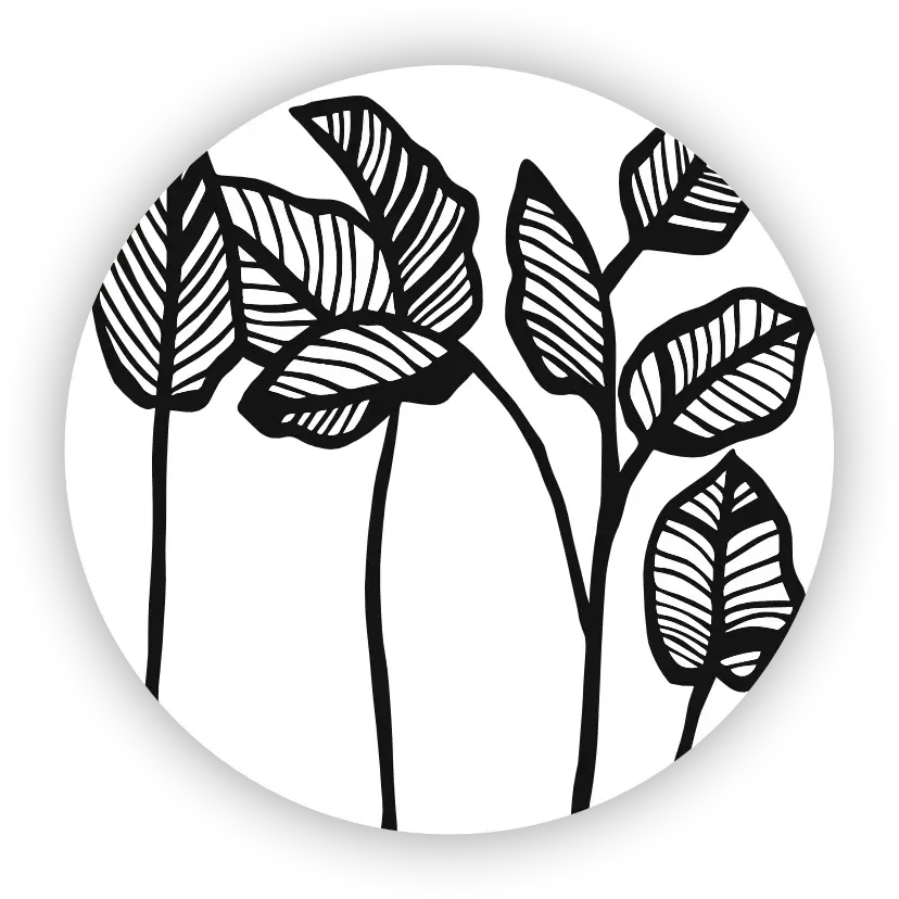 Elegant Nature 4 Pcs