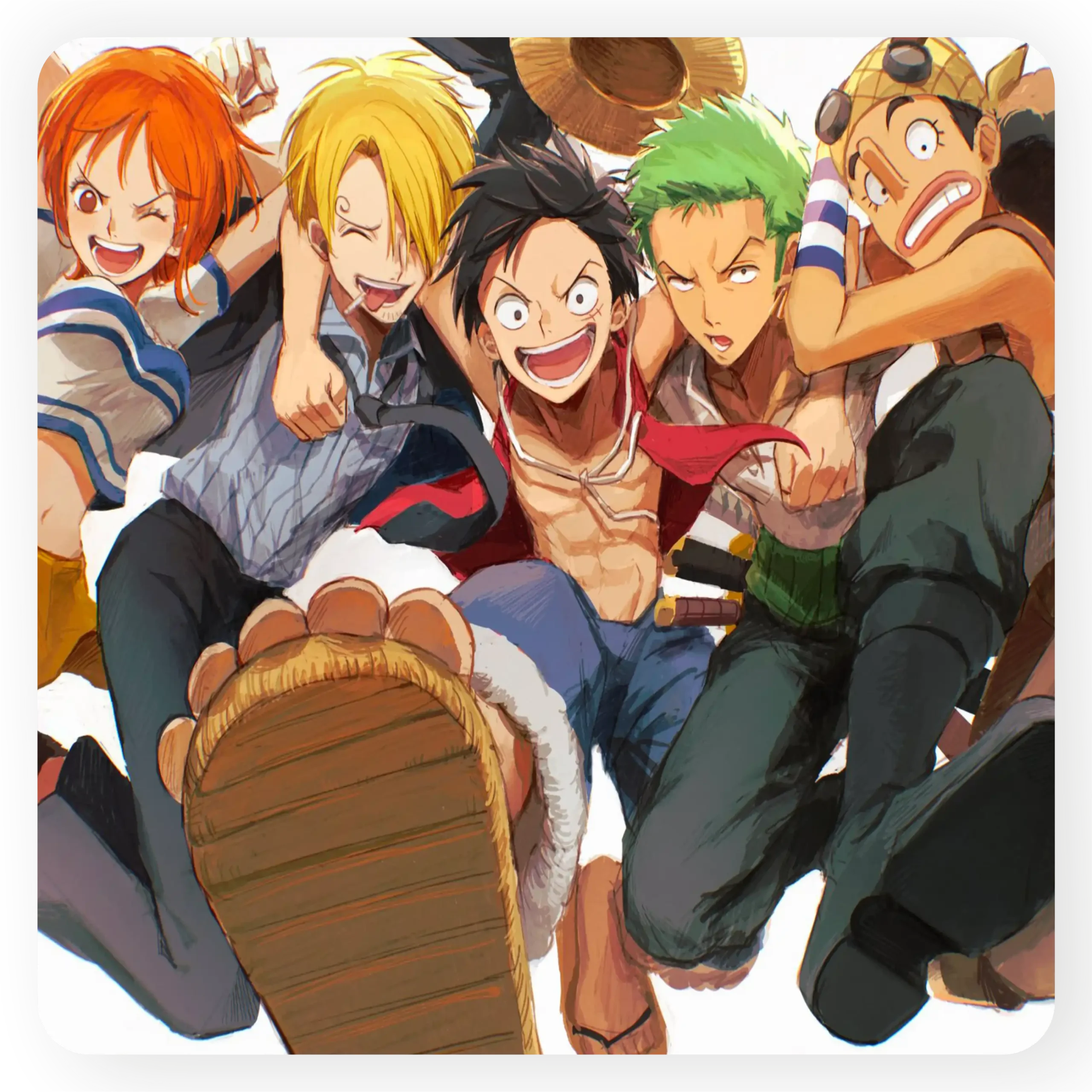 Luffy's Friends