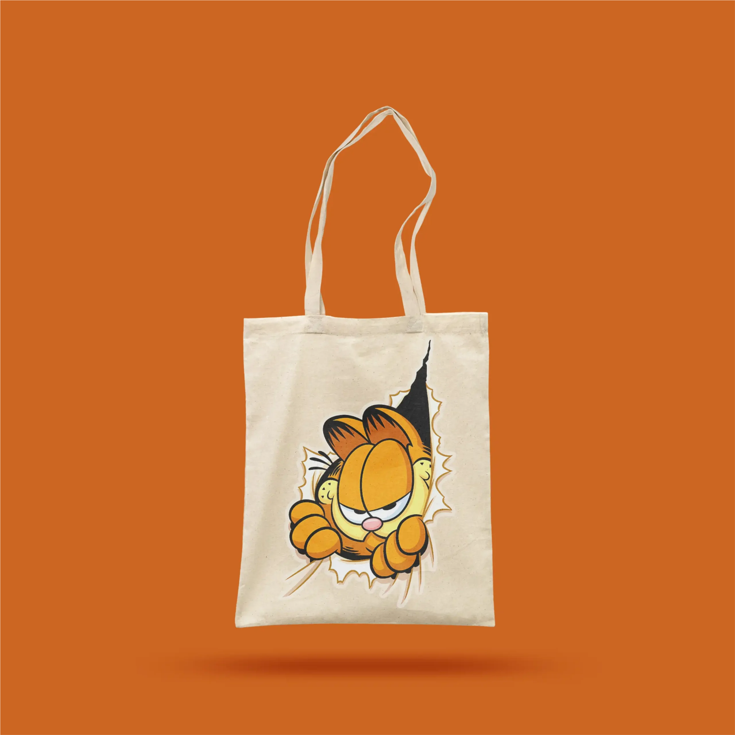 Garfield2