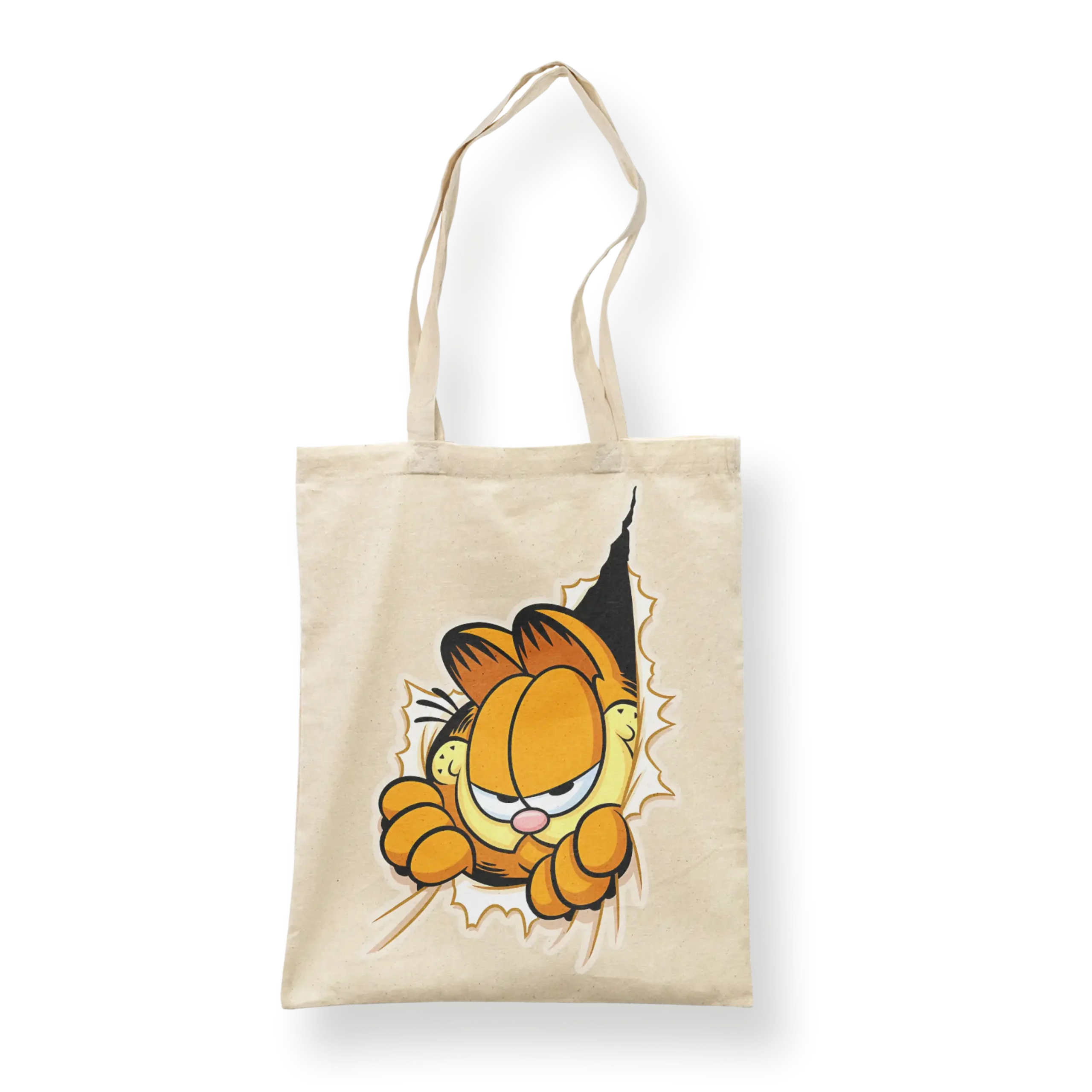 Garfield2
